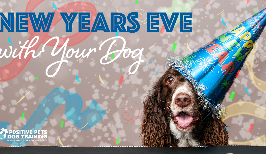 Celebrate New Years Eve with Your Dog