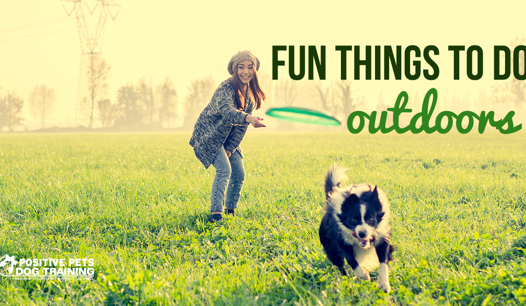 Fun Things to do Outdoors with Your Dog