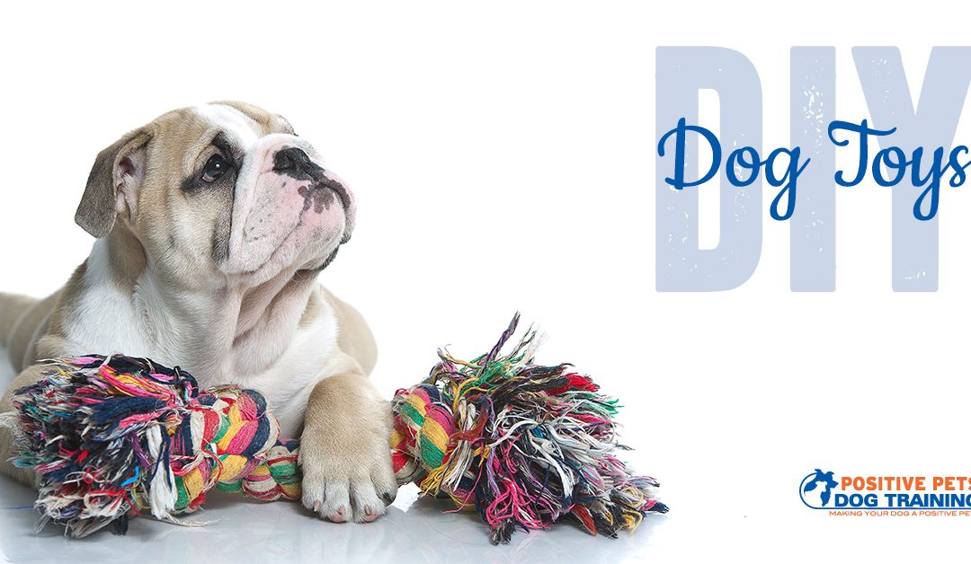 DIY Dog Toys You Can Make Today