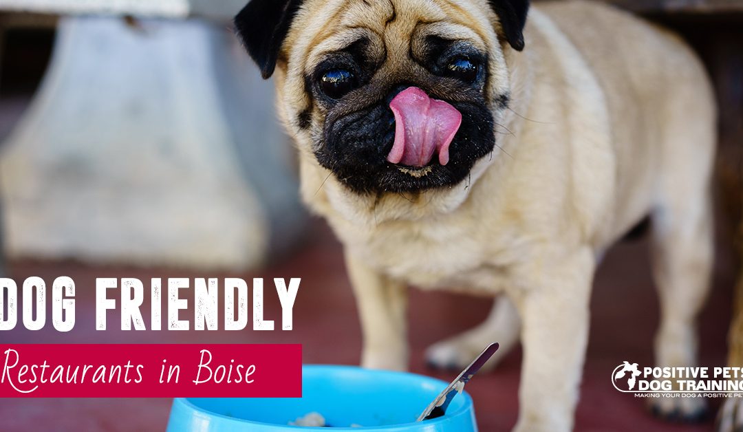 Dog Friendly Restaurants in Boise