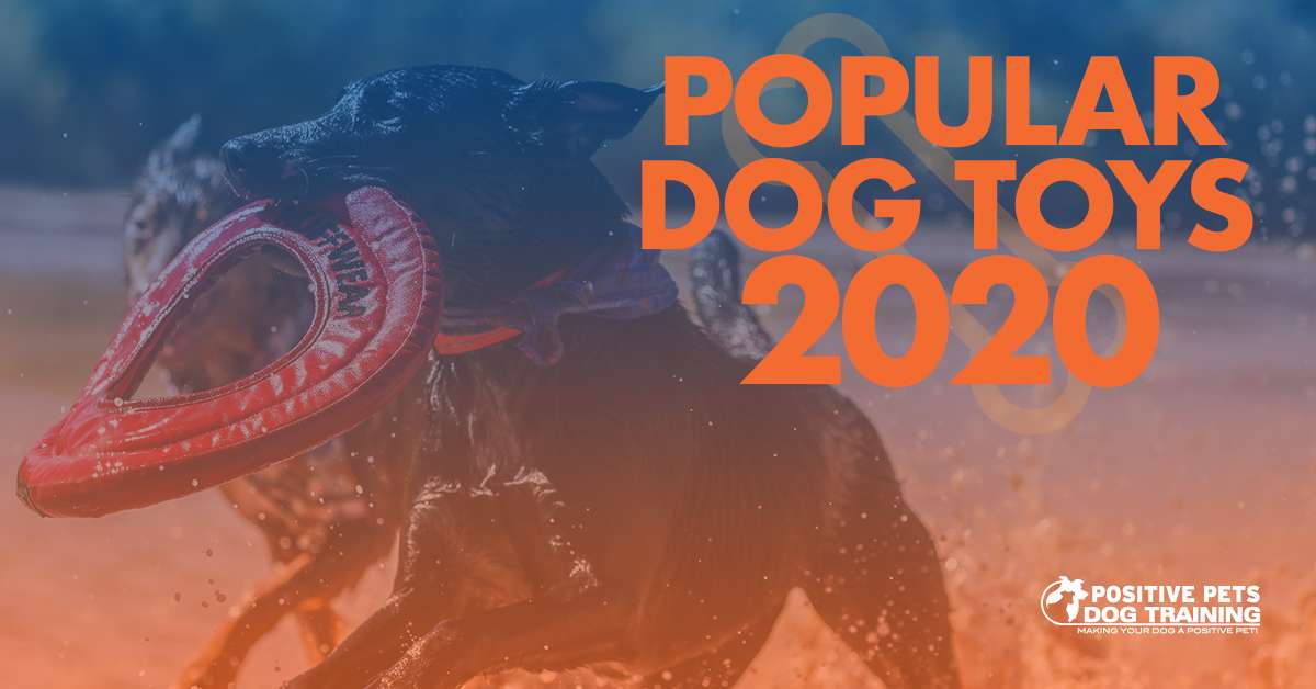 Popular Dog Toys in 2020 Positive Pets Dog Training Boise, ID Puppy