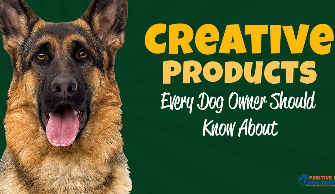 Creative Items Every Dog Owner Should Know About