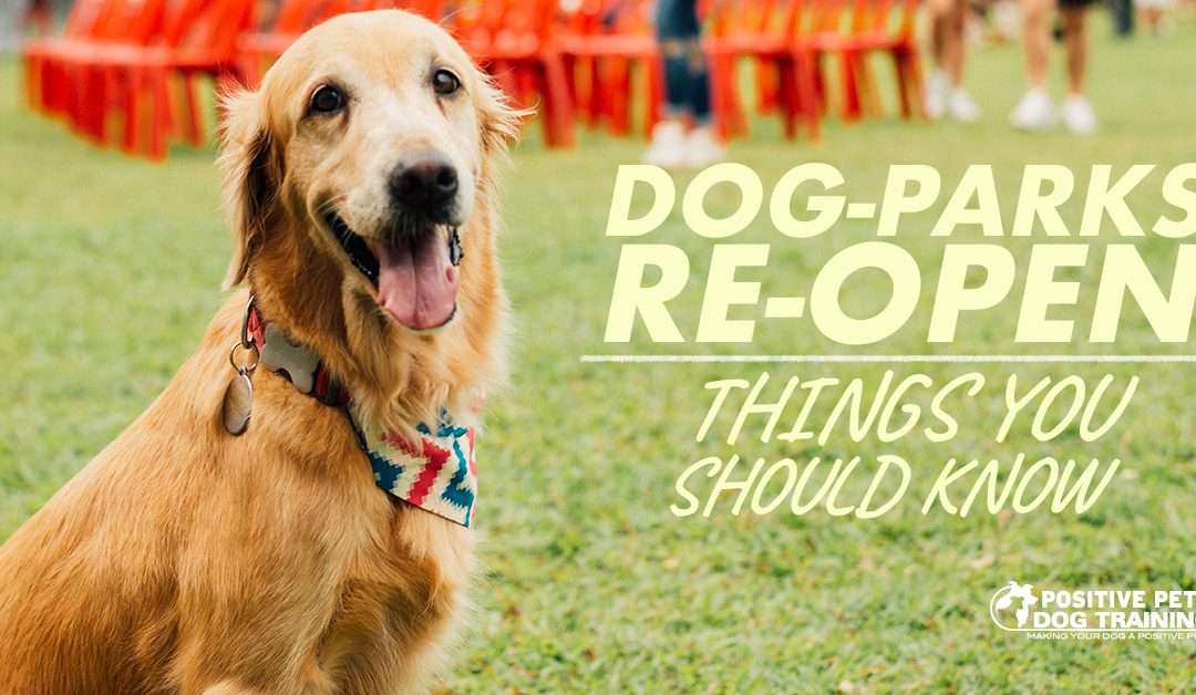 Dog Parks Reopen in Boise: Things You Should Know