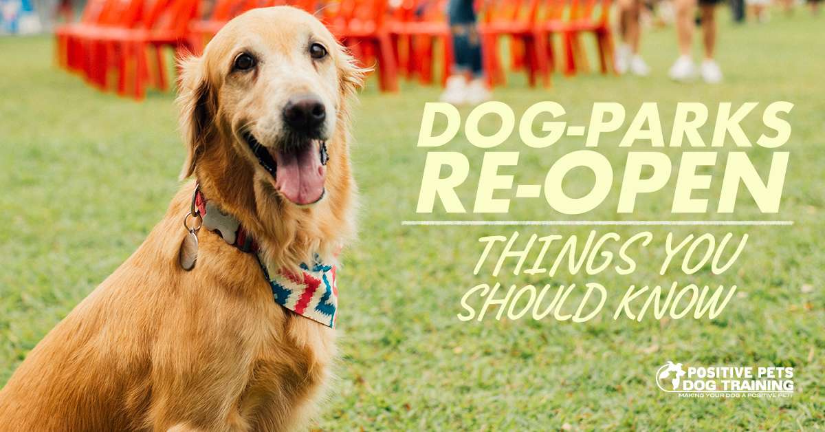 Dog Parks Reopen in Boise Things You Should Know Positive Pets Dog