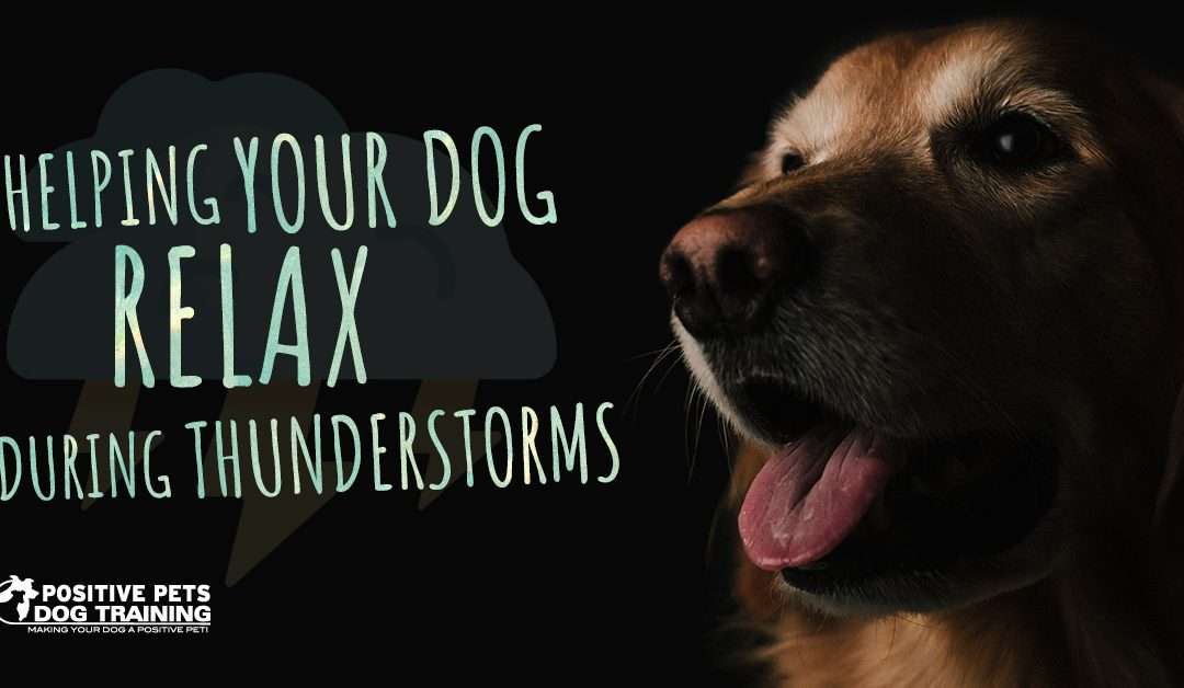 Helping Your Dog Relax During Thunderstorms