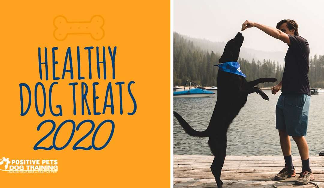 The Best Healthy Dog Treats of 2020