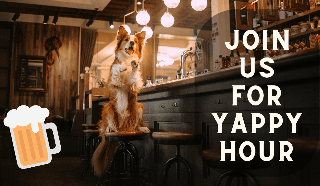 January Yappy Hour in Garden City