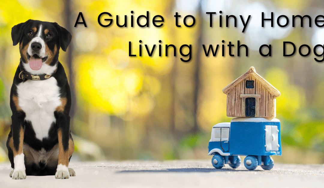 A Guide to Tiny Home Living with Your Dog