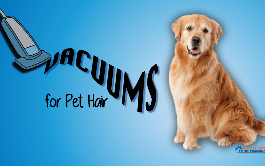 The Best Vacuums for Pet Hair