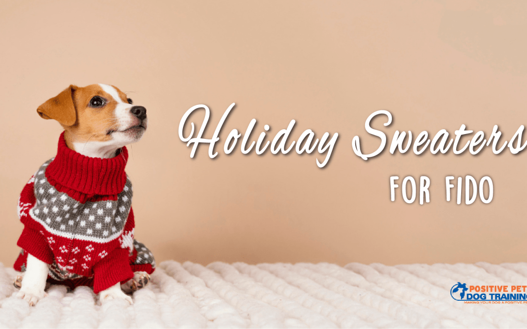 The Best Holiday Sweaters for Dogs