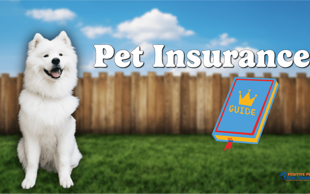 A Full Guide to Pet Insurance