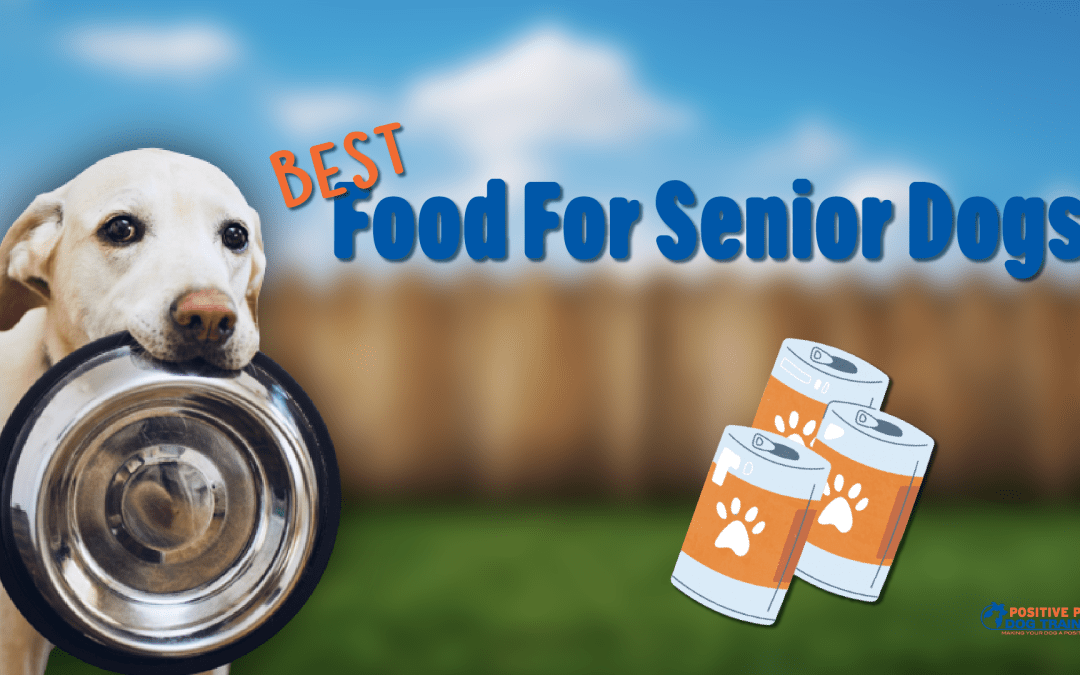 Best Food for Senior Dogs