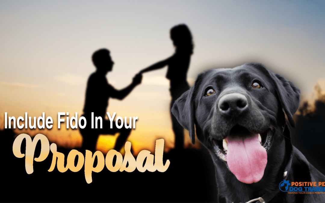 Including Your Dog in Your Proposal