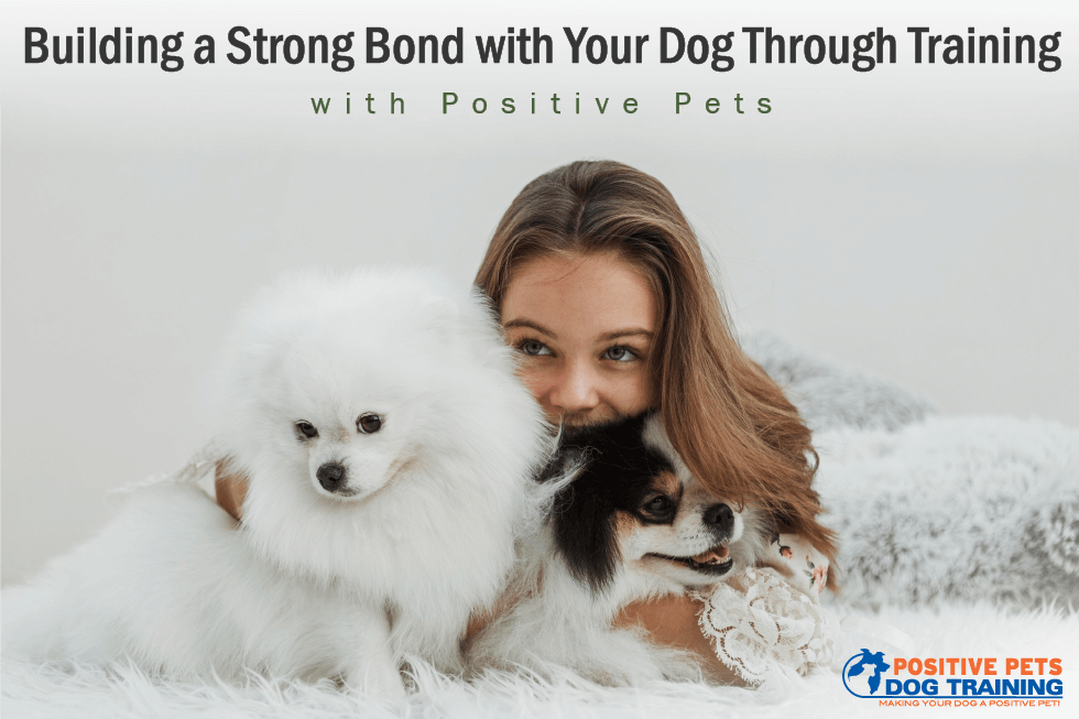 Building a Strong Bond with Your Dog Through Training with Positive Pets