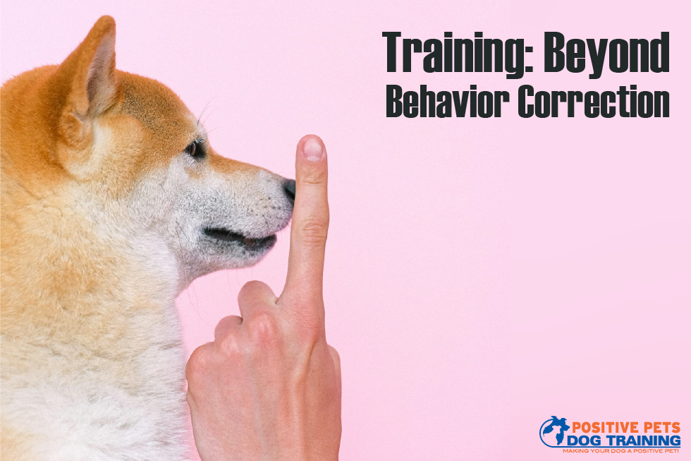 Training: Beyond Behavior Correction