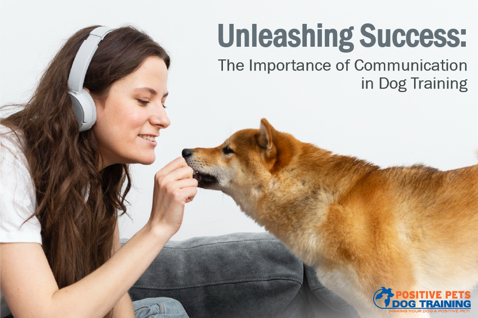 Unleashing Success: The Importance of Communication in Dog Training