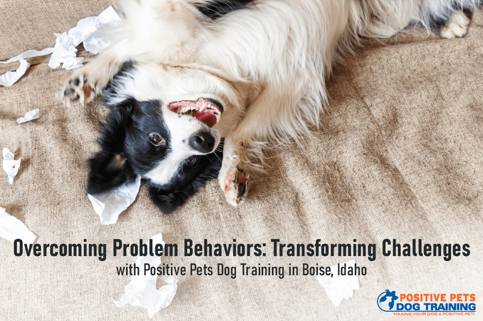 Overcoming Dog Problem Behaviors