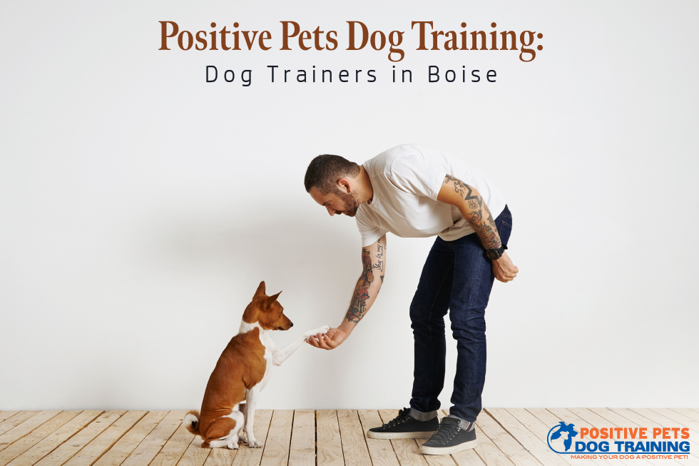 Positive Pets Dog Training: Dog Trainers in Boise
