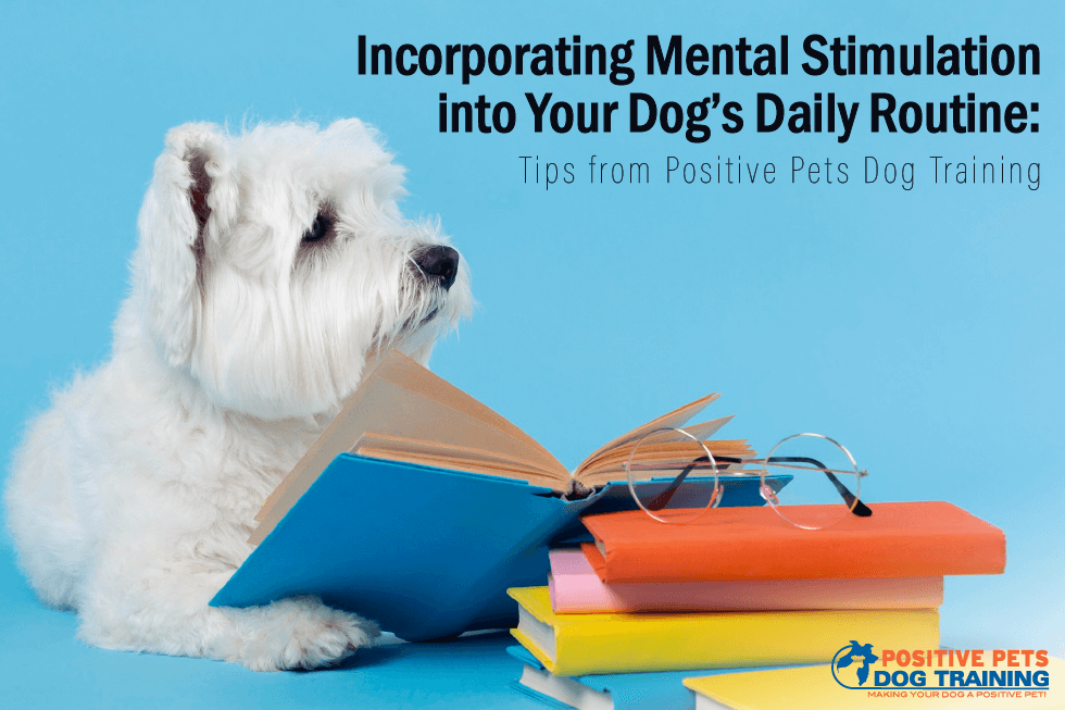 Incorporating Mental Stimulation into Your Dog’s Daily Routine