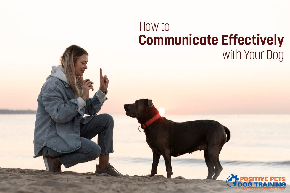 How to Communicate Effectively with Your Dog