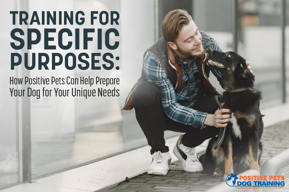 Training for Specific Purposes: How Positive Pets Can Help Prepare Your Dog for Your Unique Needs