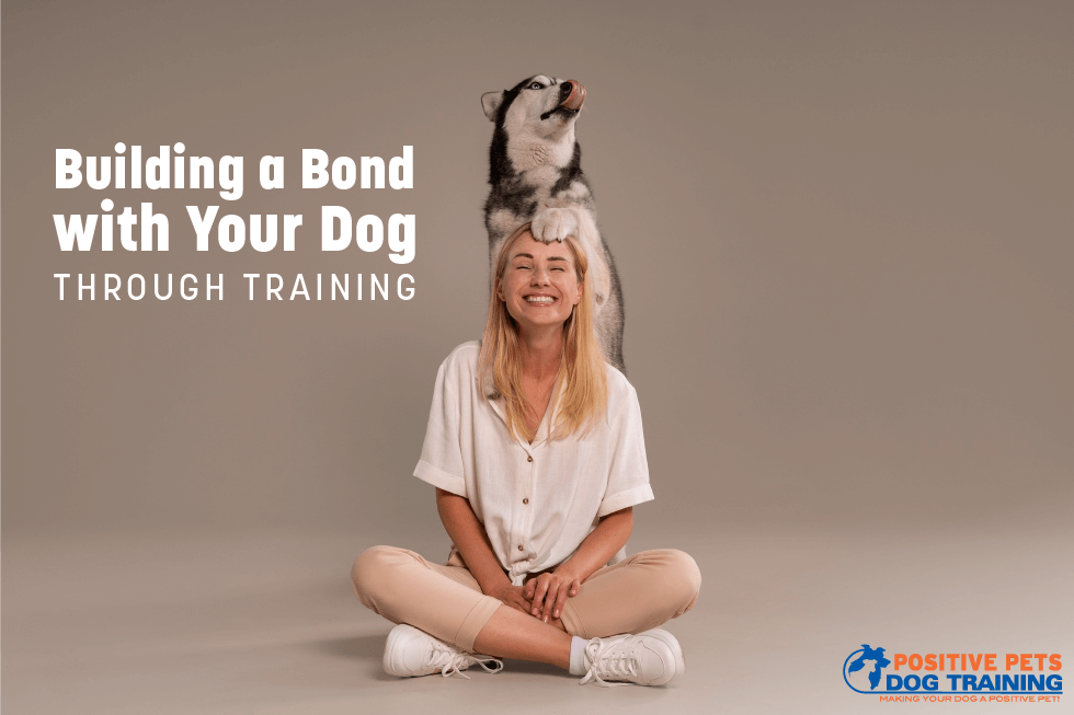 Building a Bond with Your Dog Through Training