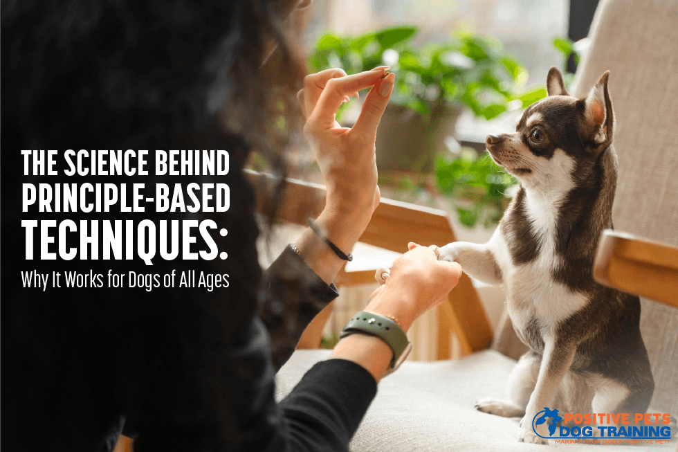 The Science Behind Principle-Based Techniques: Why It Works for Dogs of All Ages