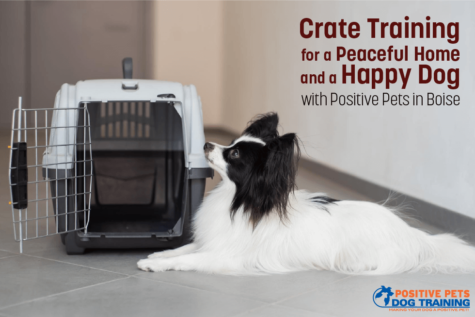 Crate Training for a Peaceful Home and a Happy Dog with Positive Pets in Boise