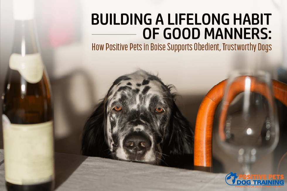 Building a Lifelong Habit of Good Manners: How Positive Pets in Boise Supports Obedient, Trustworthy Dogs