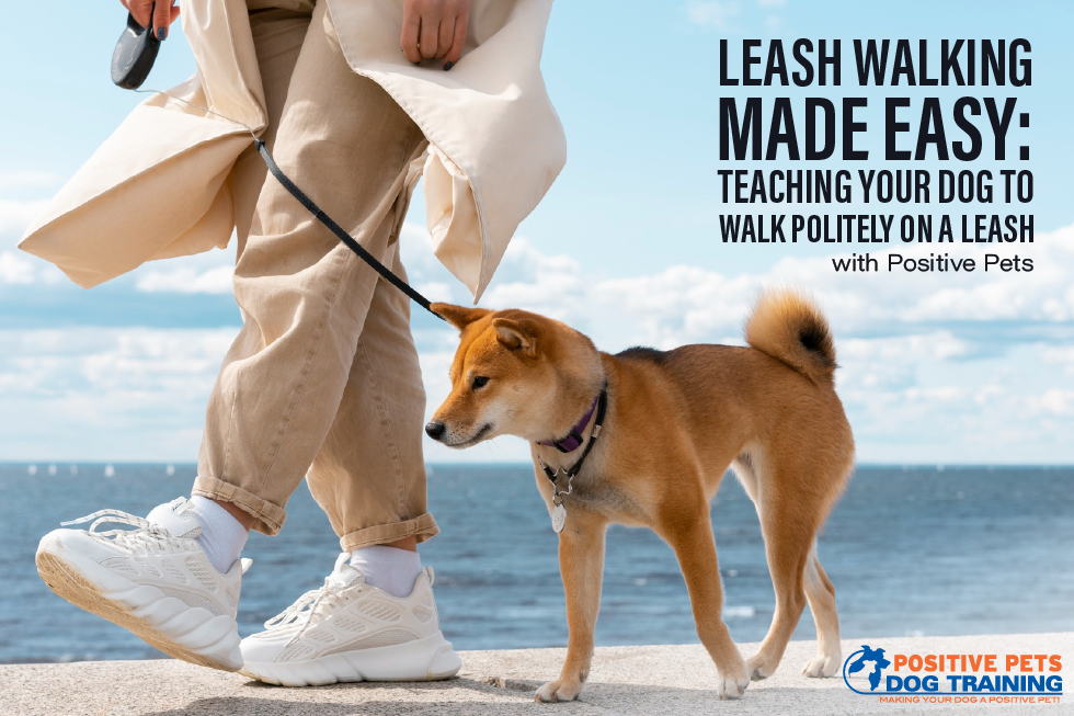 Leash Walking Made Easy: Teaching Your Dog to Walk Politely on a Leash with Positive Pets