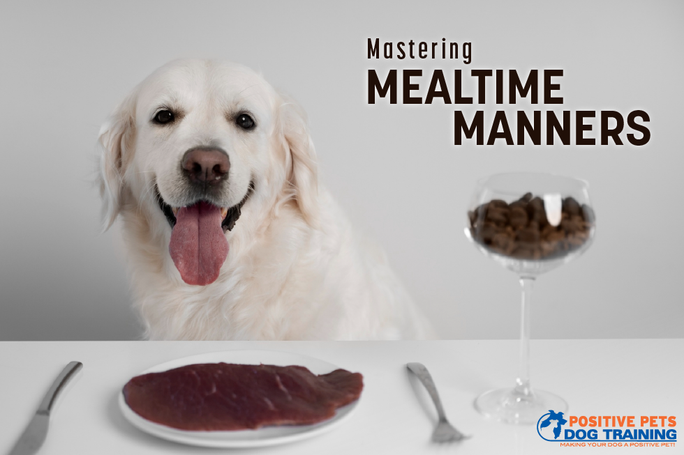 Mastering Mealtime Manners