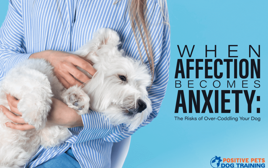 When Affection Becomes Anxiety: The Risks of Over-Coddling Your Dog
