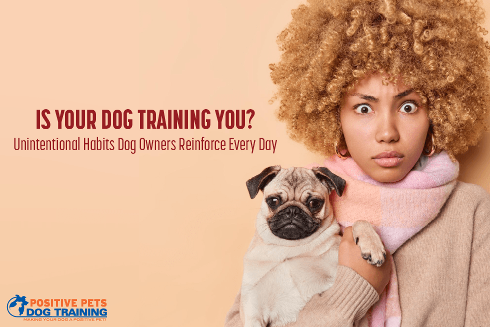 Is Your Dog Training You? Unintentional Habits Dog Owners Reinforce Every Day