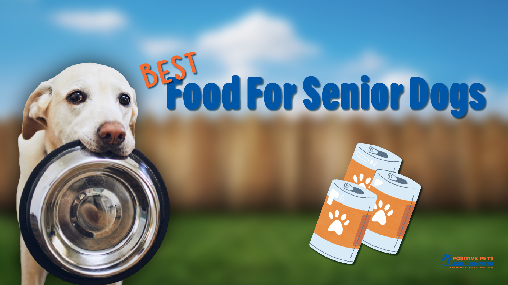 A Good Food For Senior Dog