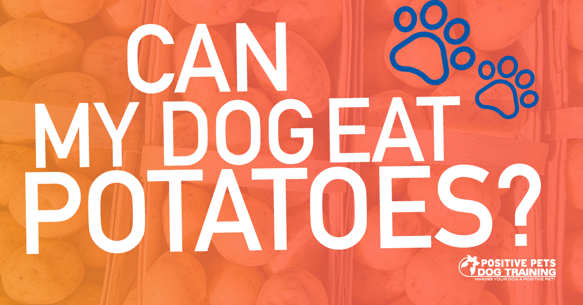 Can my dog deals eat potatoes