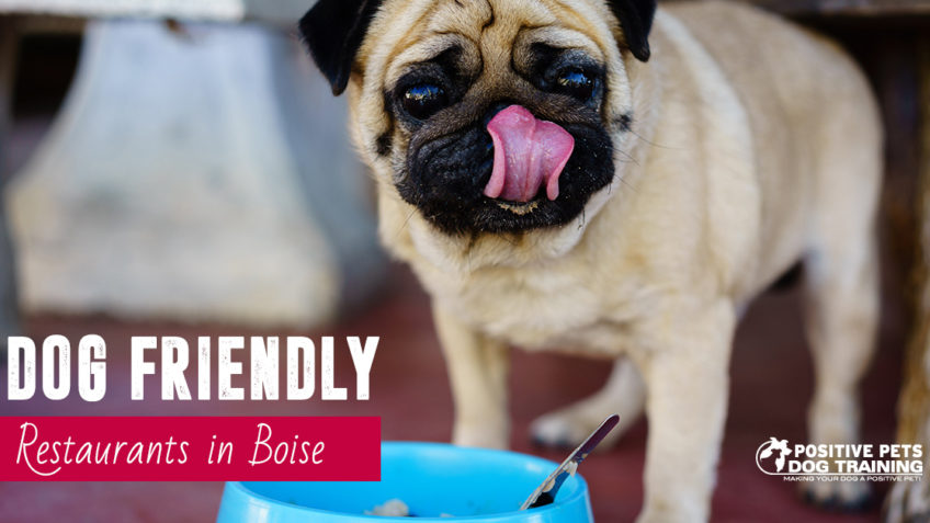 Dog friendly restaurants Boise.