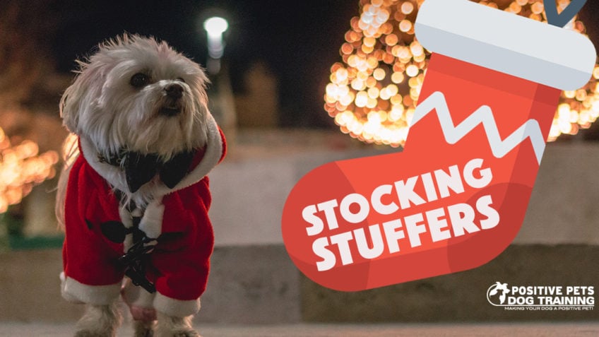 Dog Stocking Stuffer Ideas