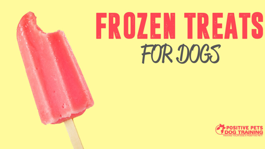 Frozen treats for dogs.