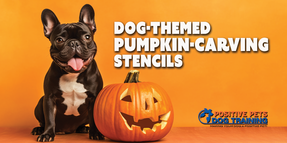 Fun Dog Themed Pumpkin Carving Stencils Positive Pets Dog Training