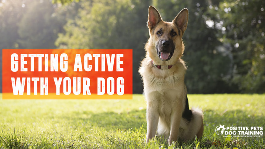 Getting active with your dog this Summer.