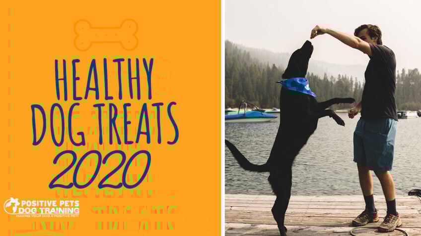 The Best Healthy Dog Treats of 2020