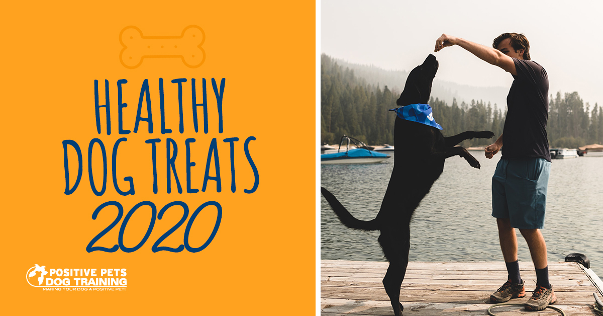 The Best Healthy Dog Treats of 2020 Positive Pets Dog Training