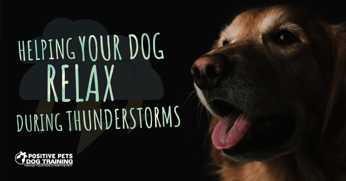 Helping Your Dog Relax During Thunderstorms Positive Pets Dog Training