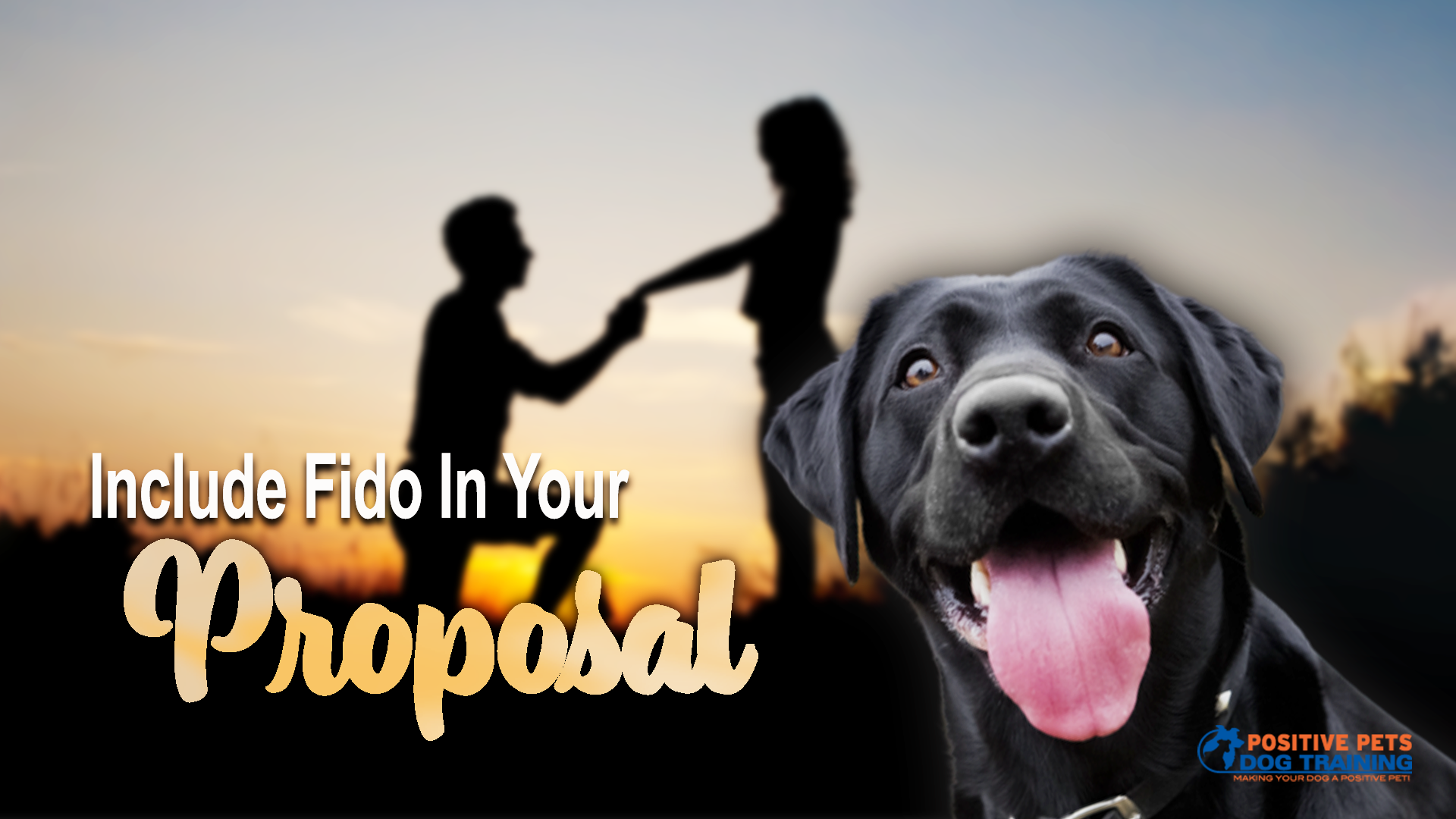 Including Your Dog in Your Proposal Positive Pets Dog Training