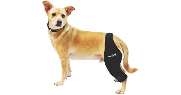 Ortocanis Original Knee Immobiliser
