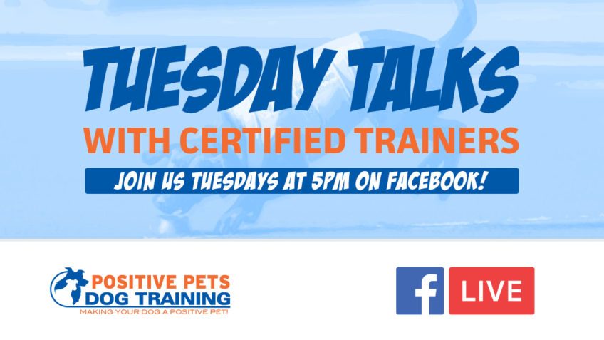 Positive Pets Boise Tuesday Talks