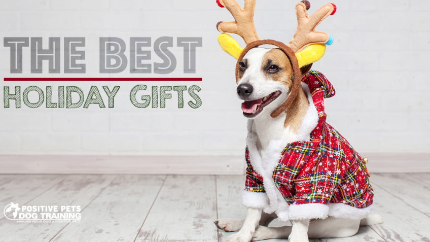 The Best Holiday Gifts for Dogs