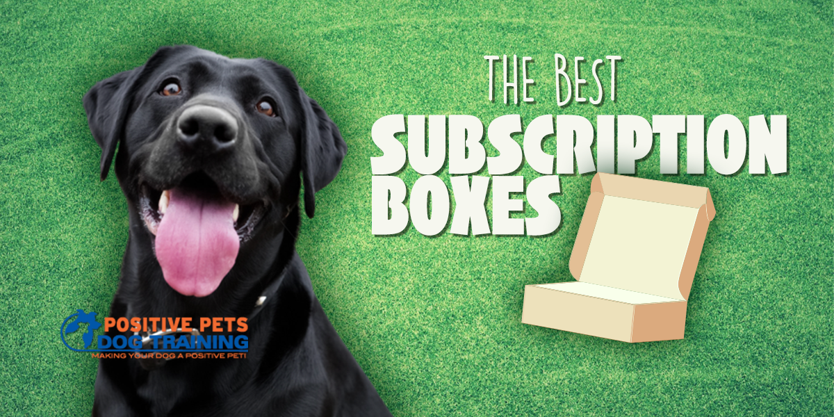 The Best Subscription Boxes for Dogs Positive Pets Dog Training