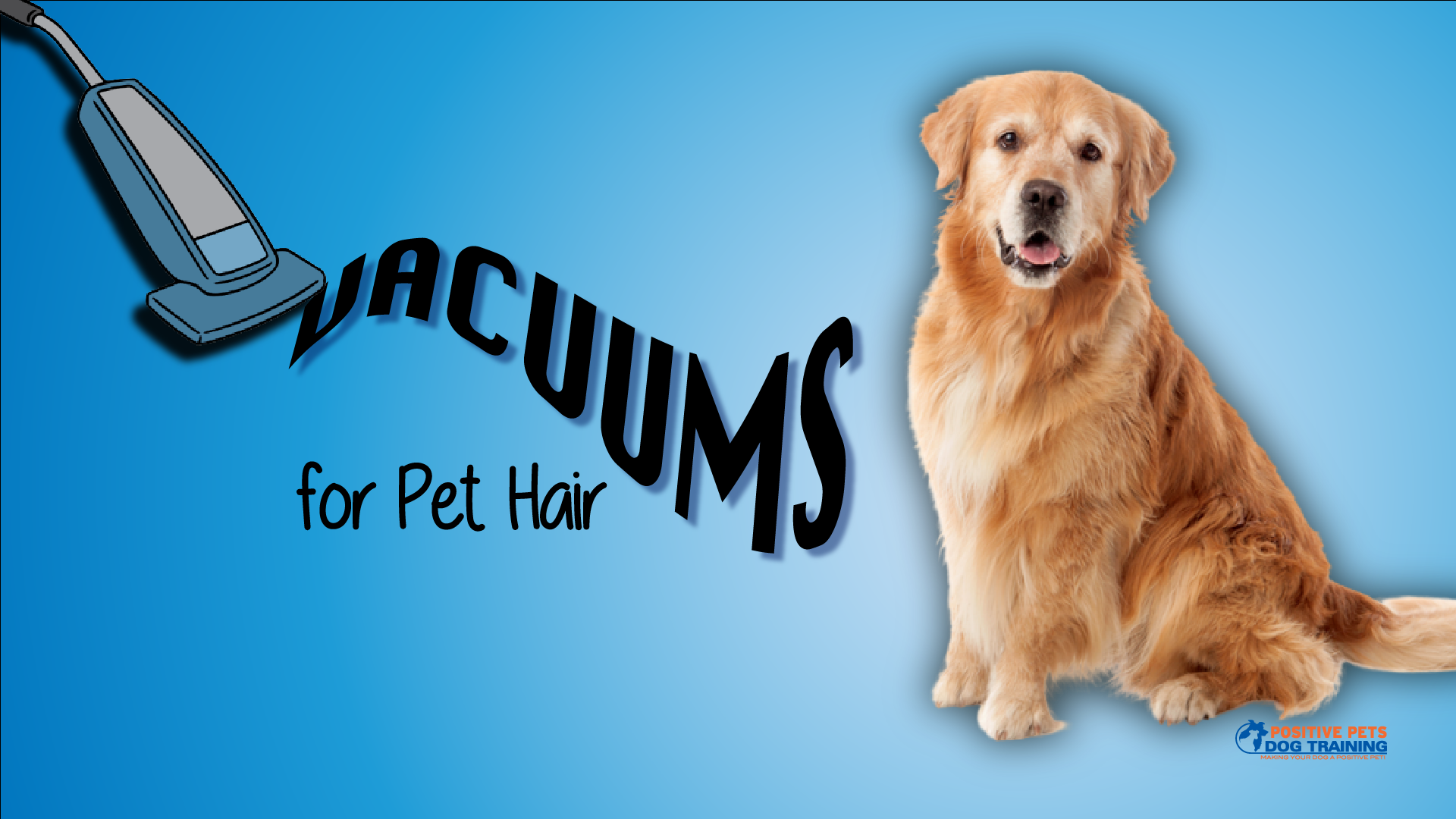 The Best Vacuums for Pet Hair Positive Pets Dog Training
