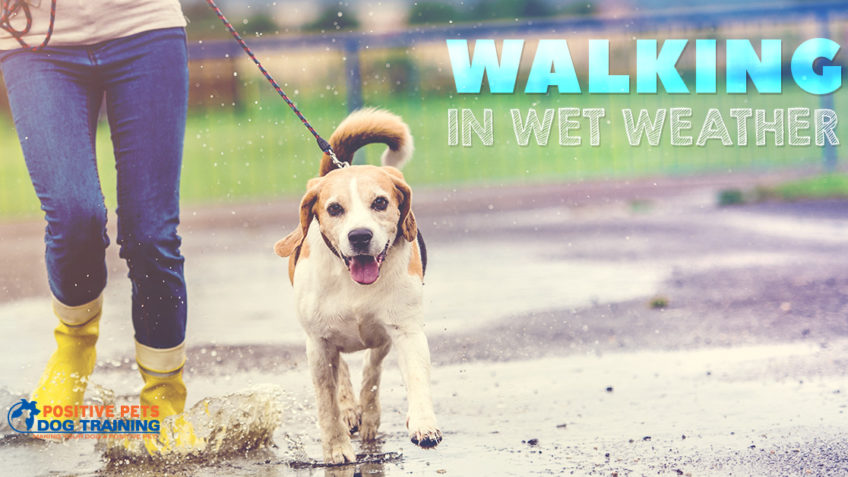 Tips for Walking in Wet Weather